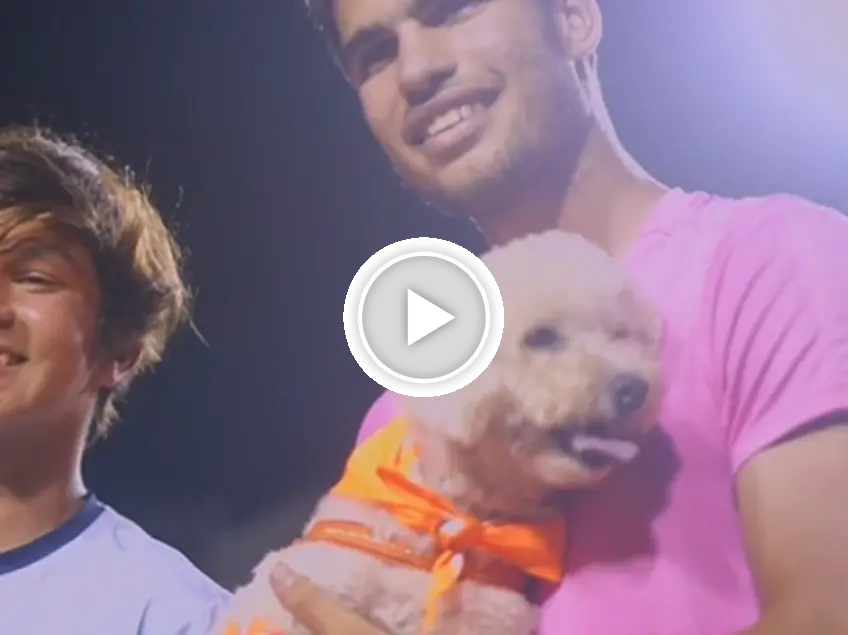 ATP Rio: Carlos Alcaraz in a tender moment with two cute dogs