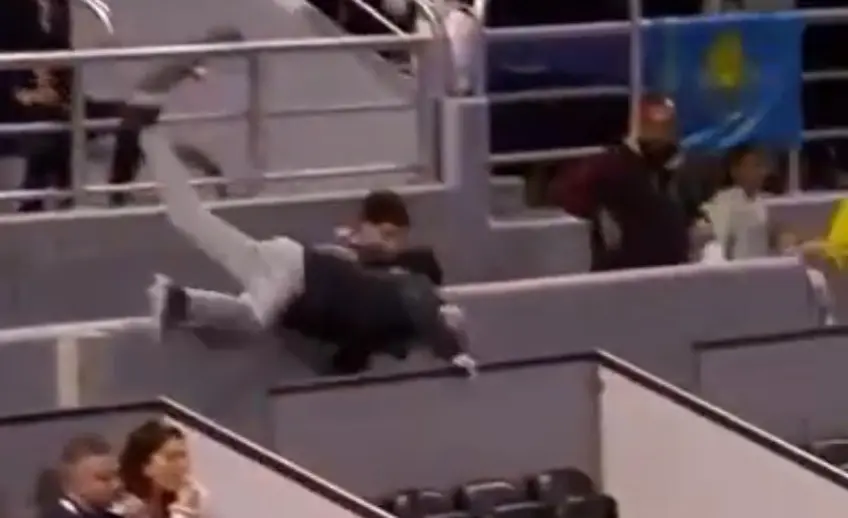 Watch: Fan falls over in stands while attempting to catch Elena Rybakina's ball